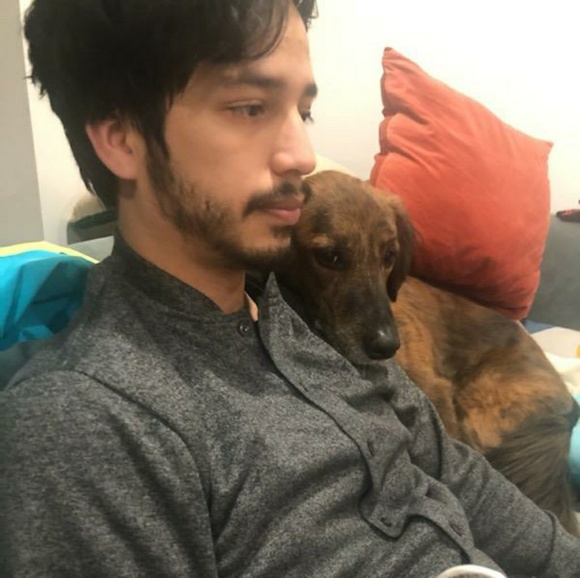 Meet your Posher, Roberto - Picture 1 of 1